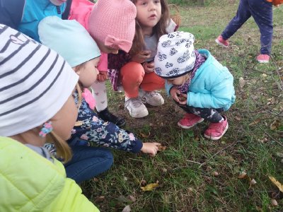 2019 JESIENIĄ W PRZEDSZKOLU_20